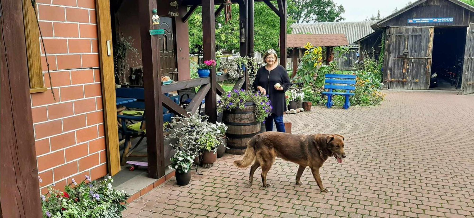 Białowieża "Jutrzenka" 아파트 외부 사진